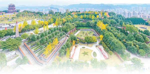 图片4 图片4